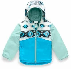 The North Face Snowquest Insulated Ski Jacket - Toddler 2020